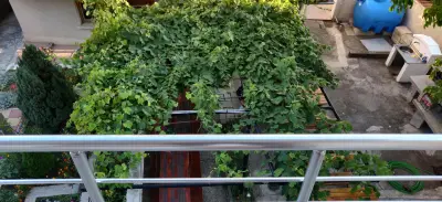 Guest House Karavida
