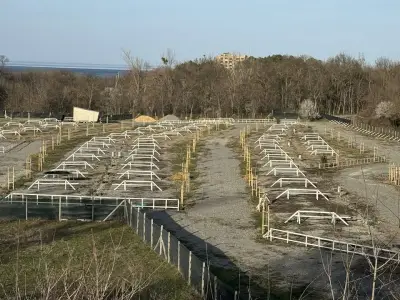 Корал