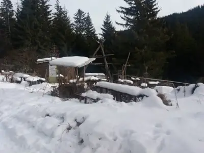 Дворец Ситняково