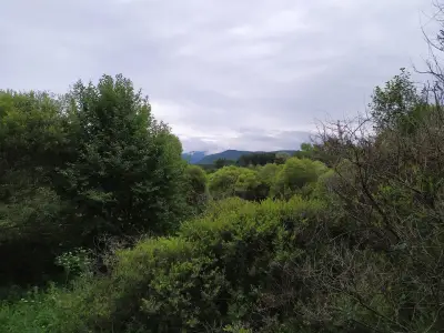 Лаго