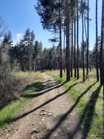 Лаго