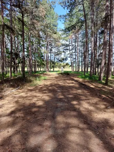 Паркови площи