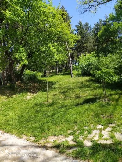Панорама