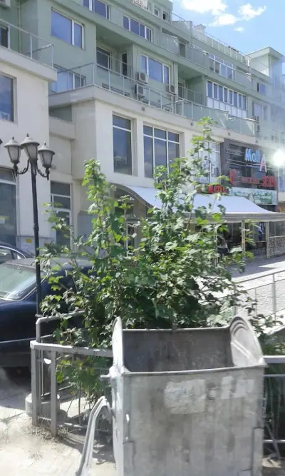 "Китайски Мол"
