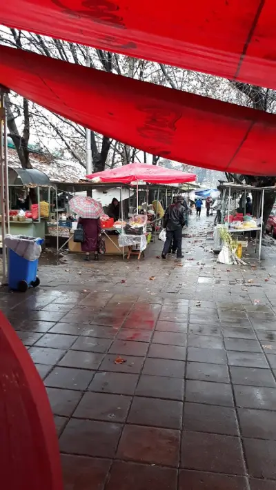 "Китайски Мол"