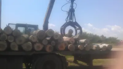Svishtov Street workout place