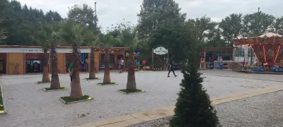 Виенско колело