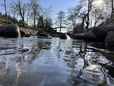 Виенско колело