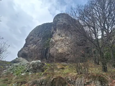 Крепост „Козник“