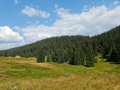 Хайдушки поляни