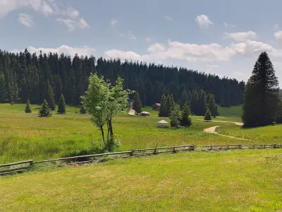 Хайдушки поляни