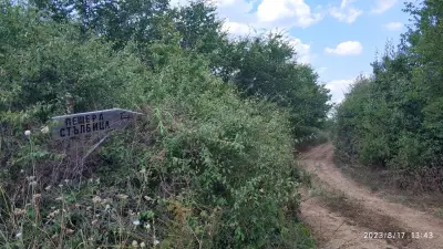 Пещера Стълбицата