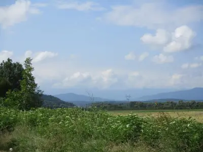 парк Черничките