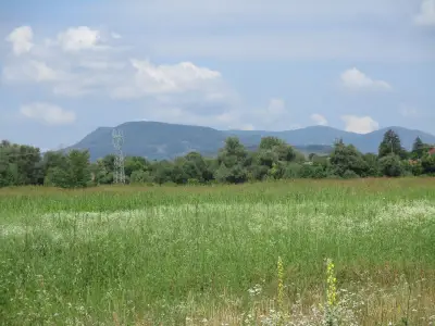 парк Черничките