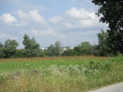 парк Черничките