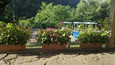 PromisedLand Complex