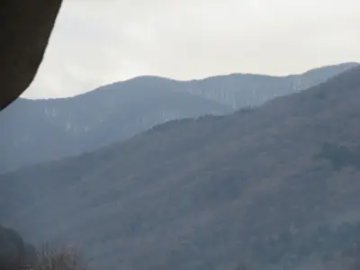 ГПУ -Петрич