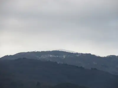 ГПУ -Петрич