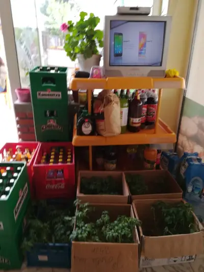 Райковото заведение