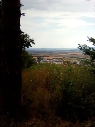 Лесопарка