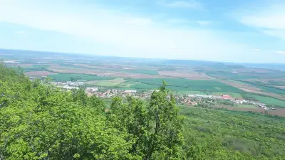 Лесопарка