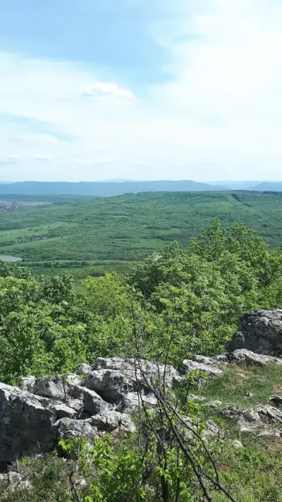 Лесопарка