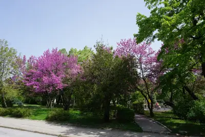 Парк "Христо Ботев"