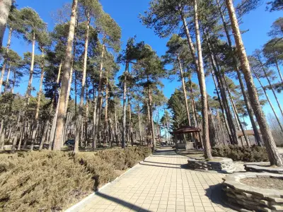 Боров парк