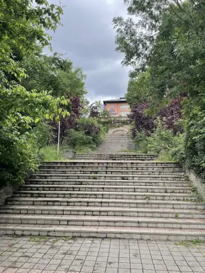 Боров парк