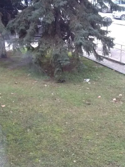 Ученическо общежитие