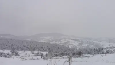 Природна забележителност „Лъвът“