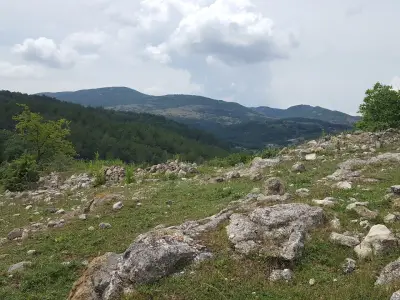 Резерват "Боровец"