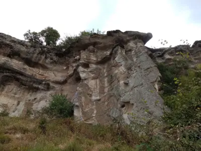 Чит кая