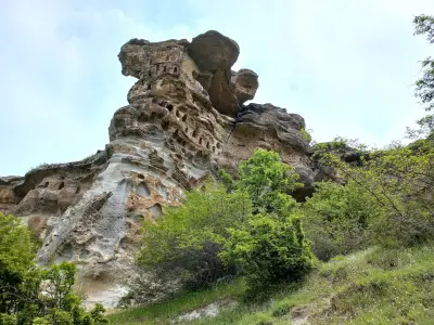Чит кая