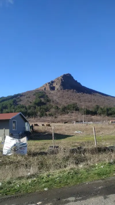 Бар Вълните