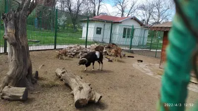 Зоокът “Вапцаров”