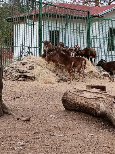 Зоокът “Вапцаров”