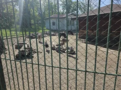 Зоокът “Вапцаров”