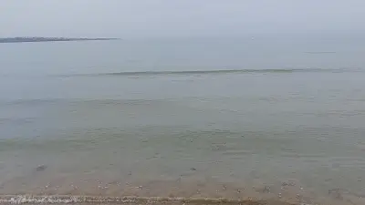 Къмпинг Златна рибка