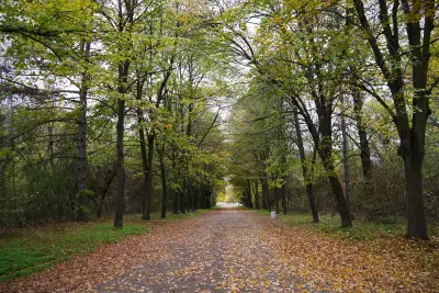 Парк „Марица“