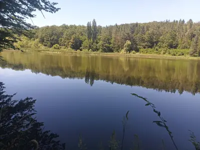 Язовир Синкевица