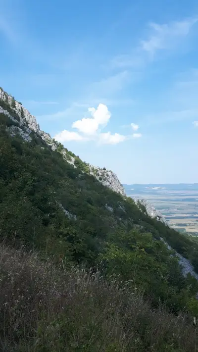 Паметник Околчица