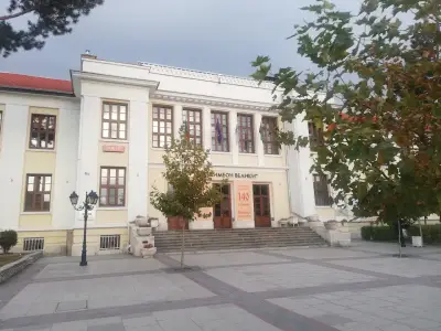 Vidin Street Market