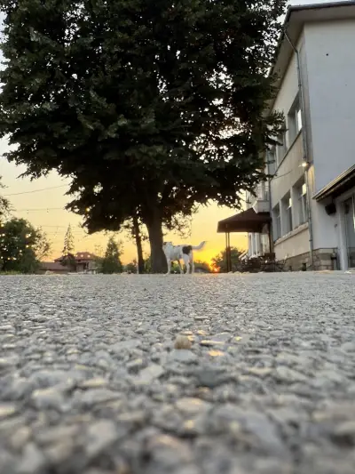 Къща за Гости Онгъл