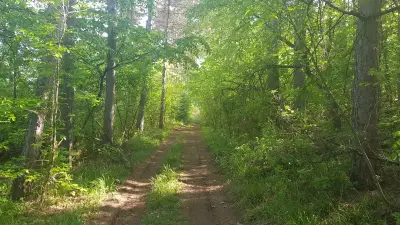 Гарга Баир