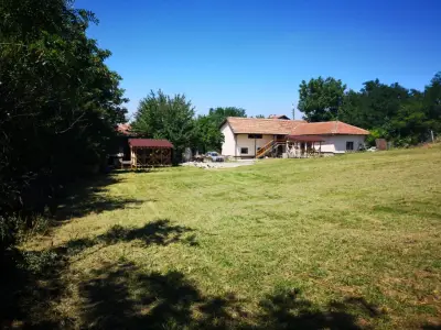 sunny day