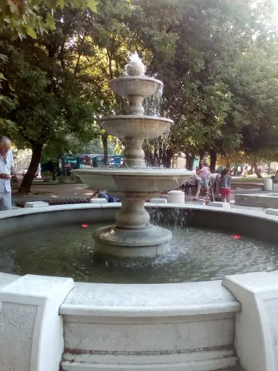 Тодор Петков