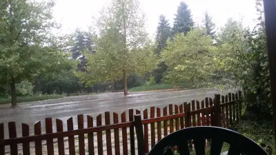 Кафене - Шуле
