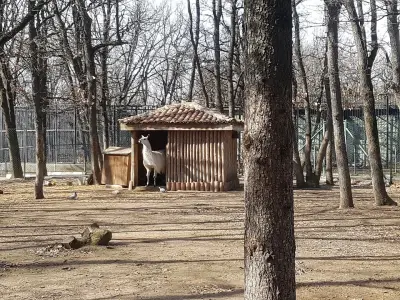 Зоокът Парк Кенана