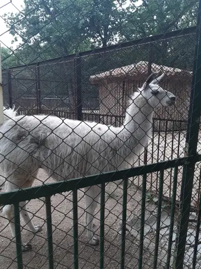 Зоокът Парк Кенана